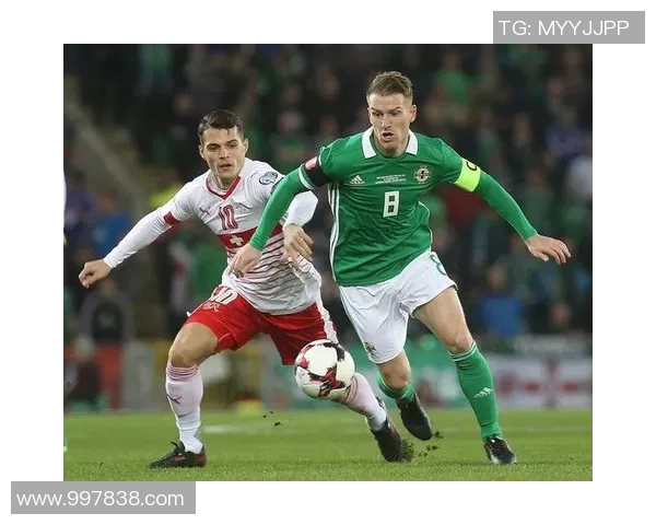 006德国对阵北爱尔兰的精彩较量回顾与分析